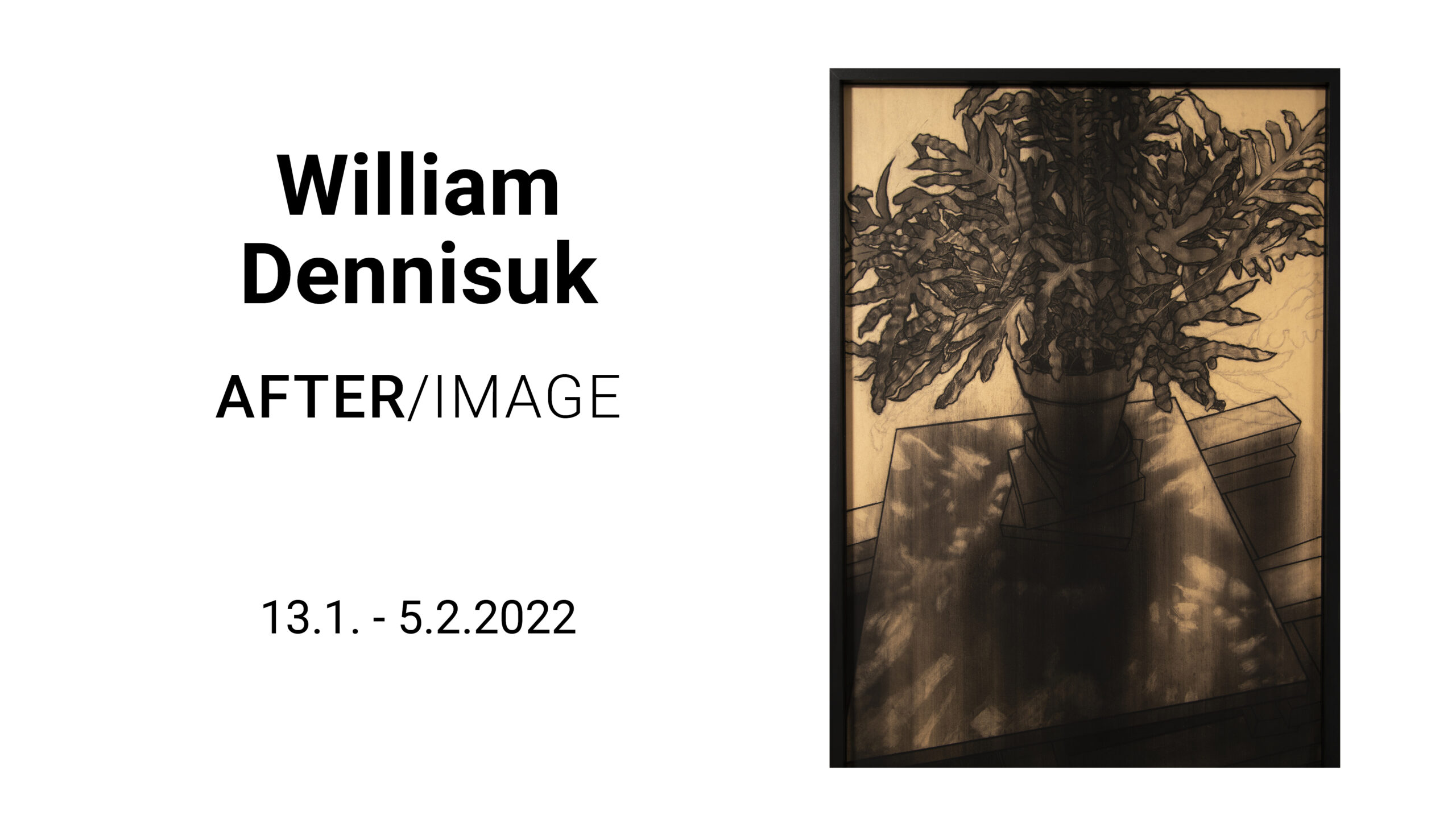 ROIKKA & RIUTTA – William Dennisuk — After/Image 13.1.–5.2.2022