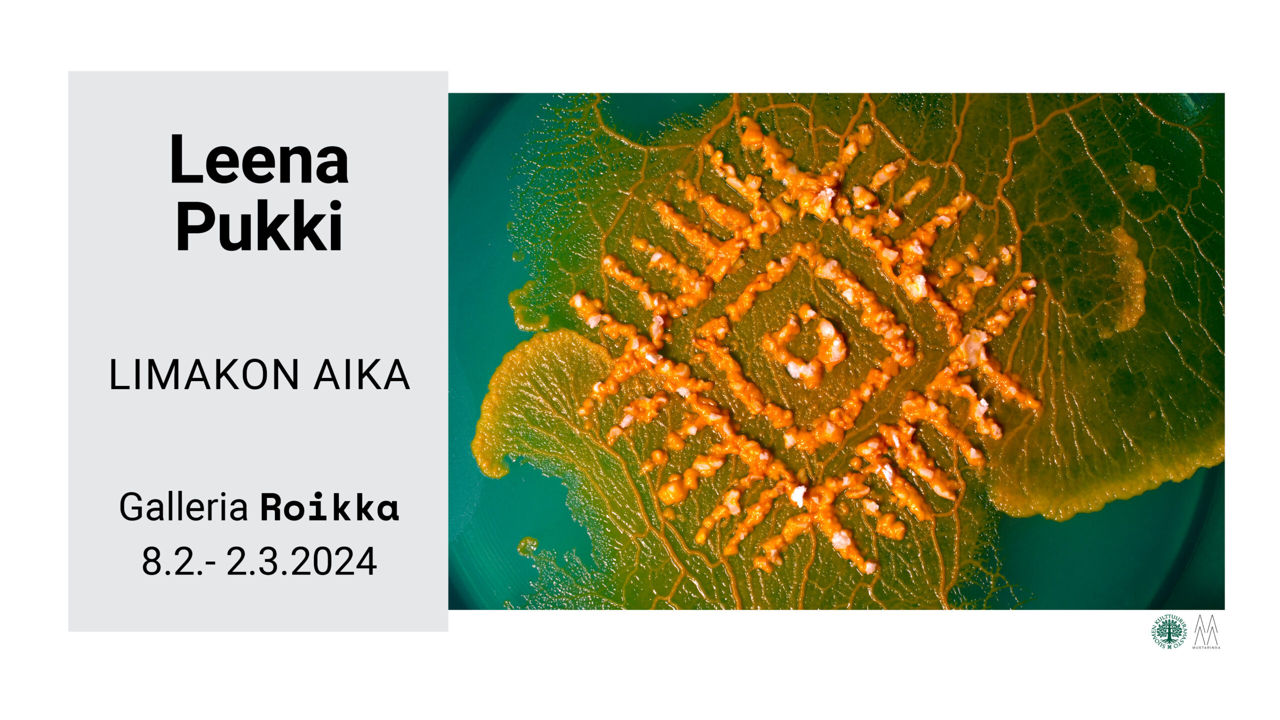 ROIKKA – Leena Pukki — Limakon aika 8.2.–2.3.2024