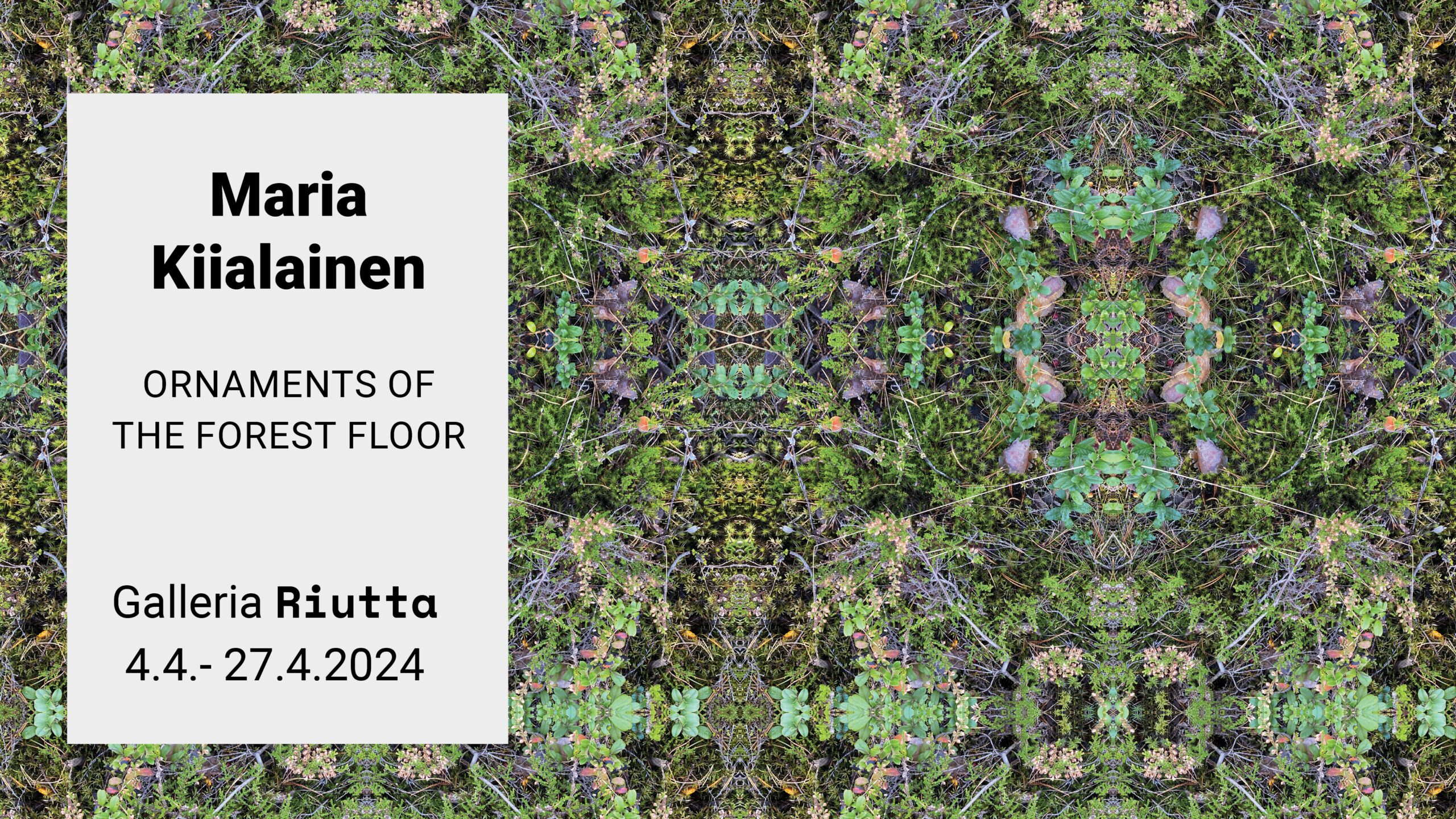 RIUTTA – Maria Kiialainen — Ornaments of the Forest Floor 4.4.–27.4.2024