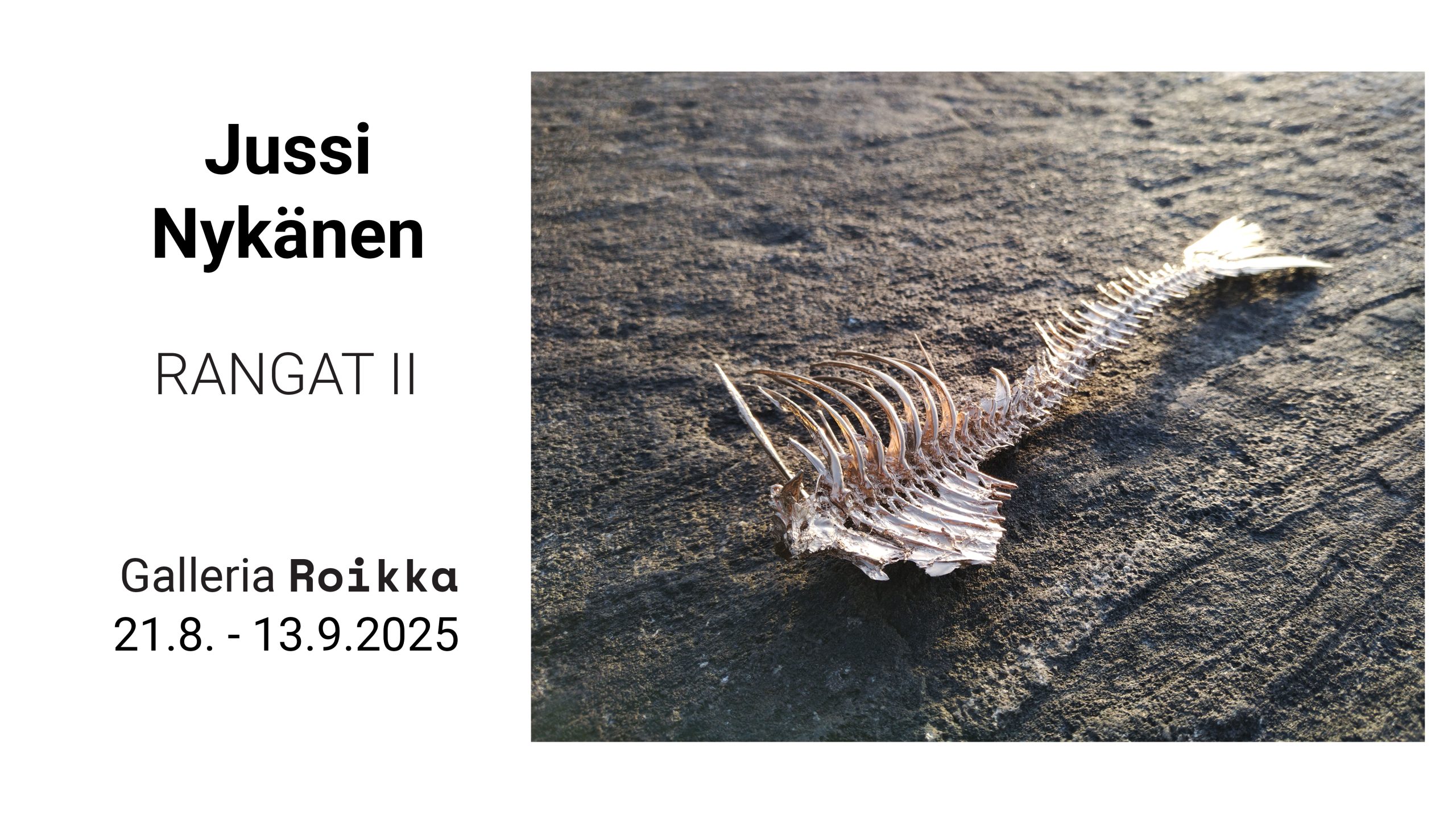 ROIKKA – Jussi Nykänen — RANGAT II — 21.8.-13.9.2025